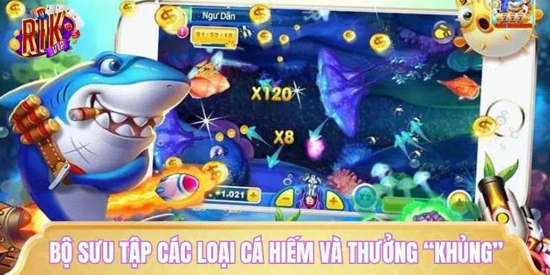 Nắm rõ hệ thống cá quý hiếm, điểm thưởng cao