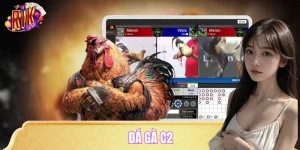 Đá Gà C2 – Trực Tiếp Thomo Hôm Nay, Kèo Ngon Không Chờ Ai