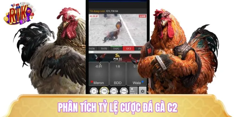 Hướng dẫn cách đọc tỷ lệ cược chuẩn không cần chỉnh