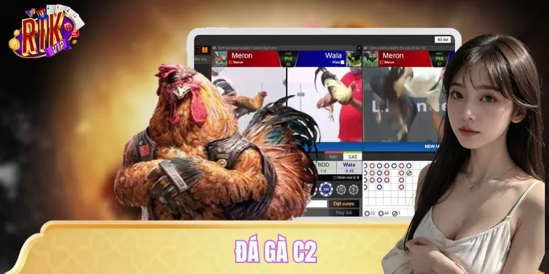 Đá Gà C2 – Trực Tiếp Thomo Hôm Nay, Kèo Ngon Không Chờ Ai